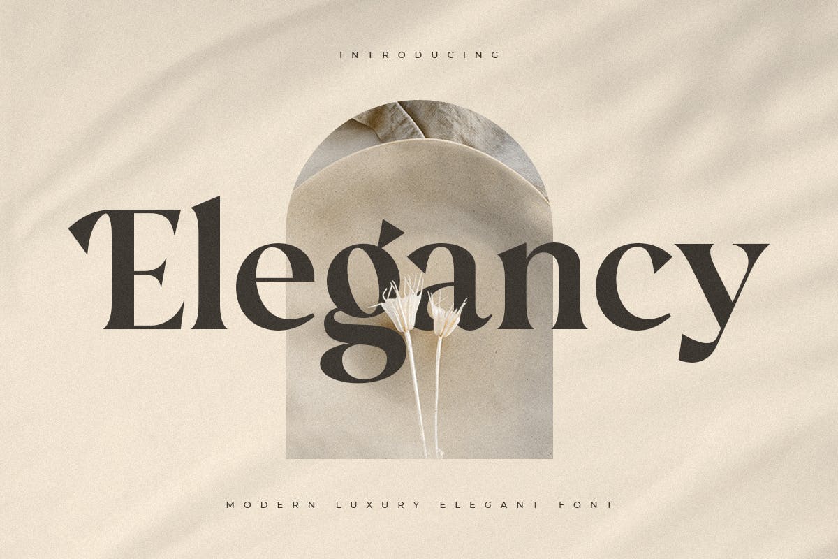 Elegancy – Modern Luxury Elegant Font
