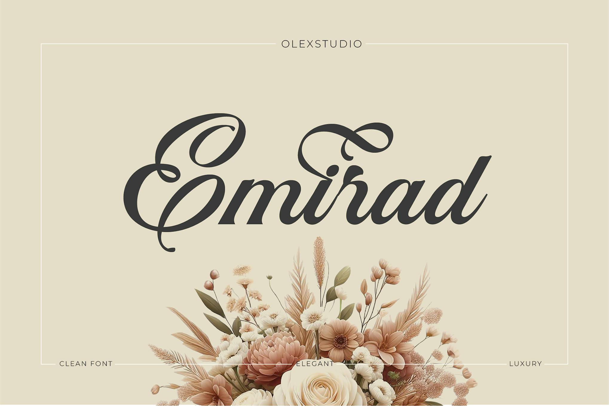 EMIRAD Olstd