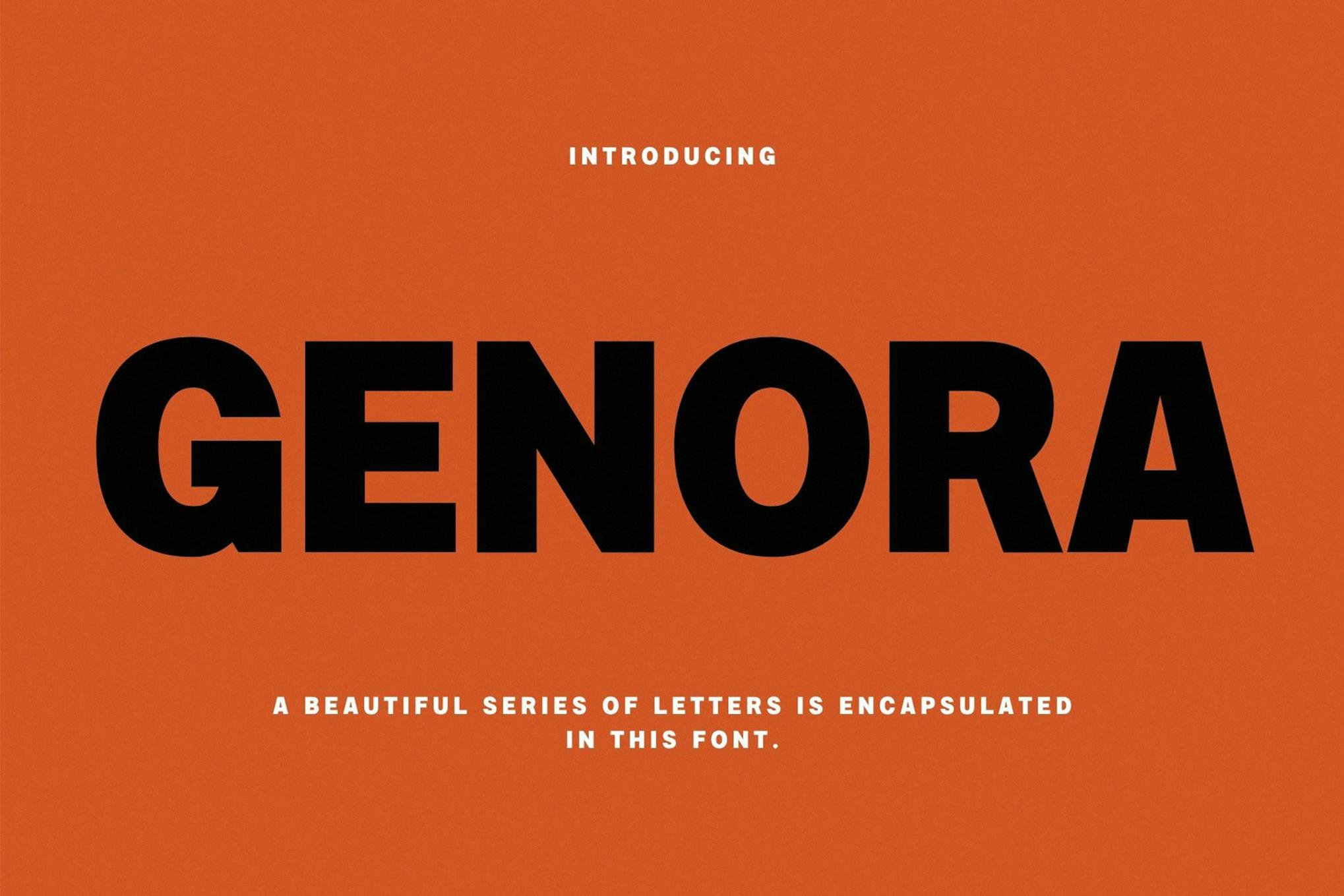 Genora Modern Sans Font