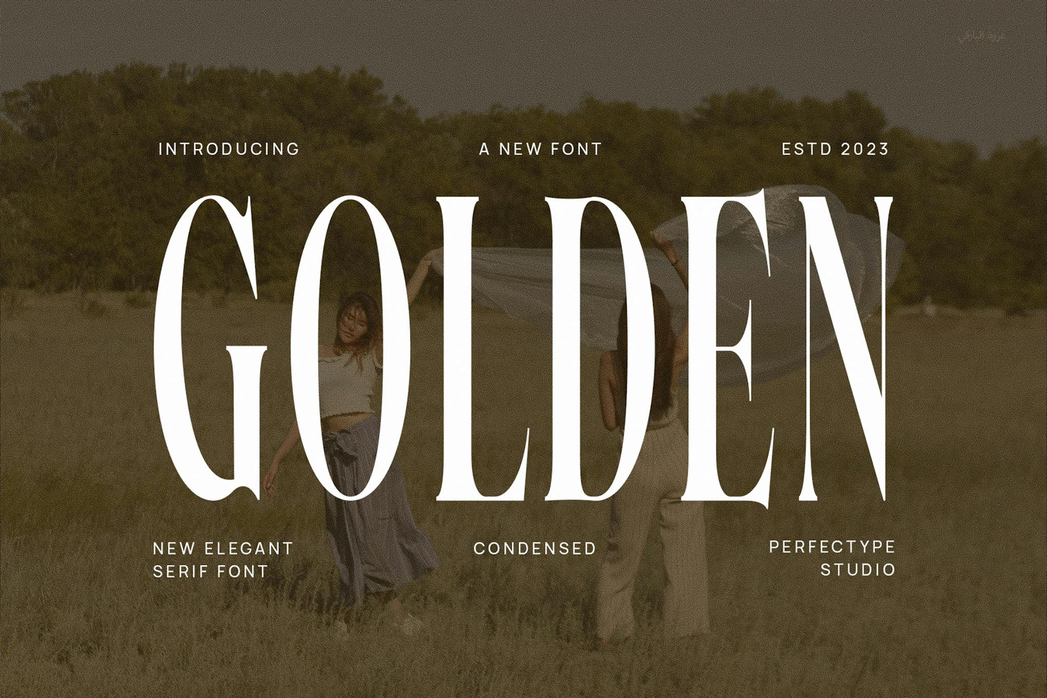 Golden Elegant Serif Font Typeface