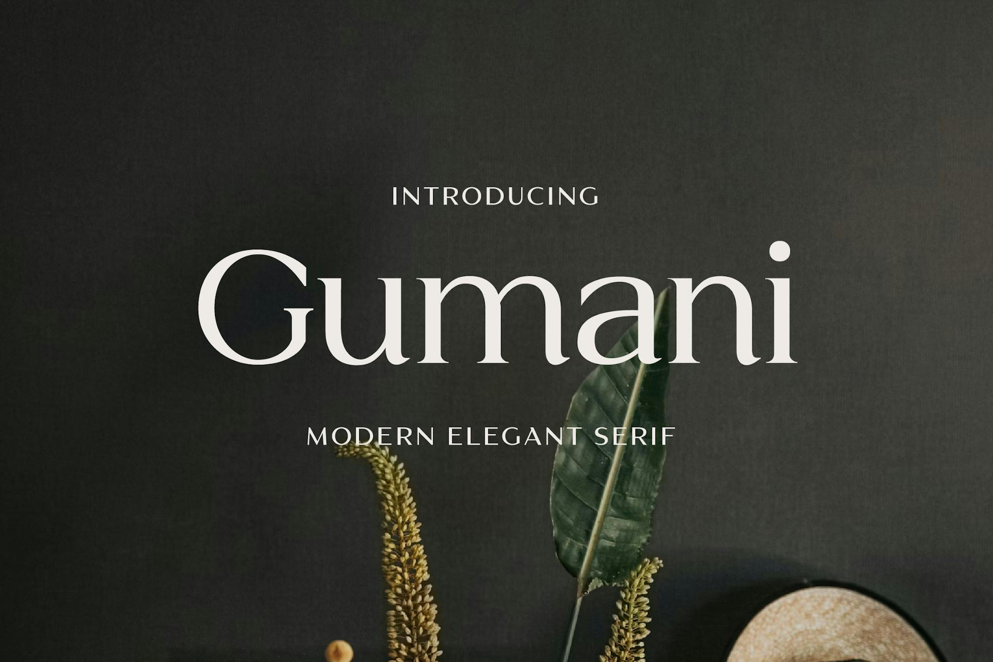 Gumani Serif Font