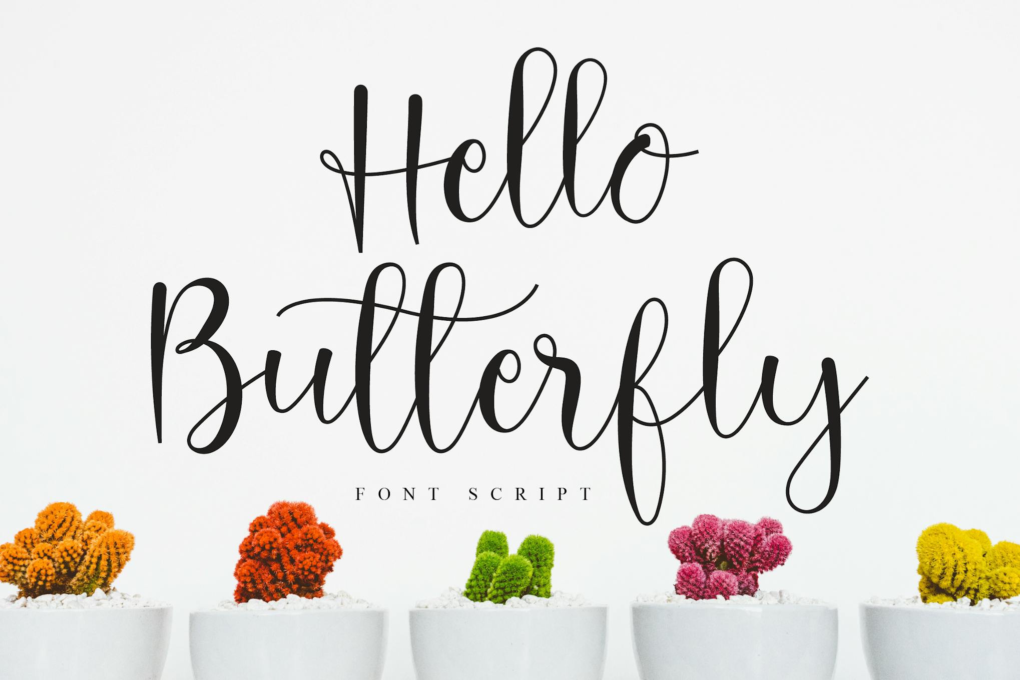 Hello Butterfly