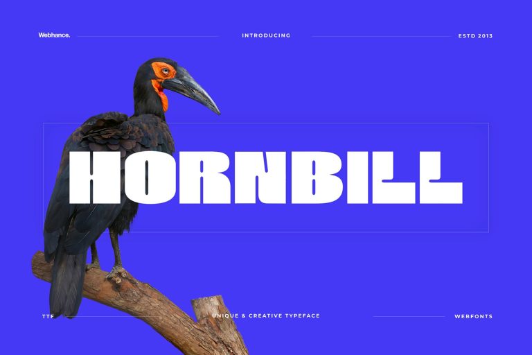 Hornbill – Modern Display Font
