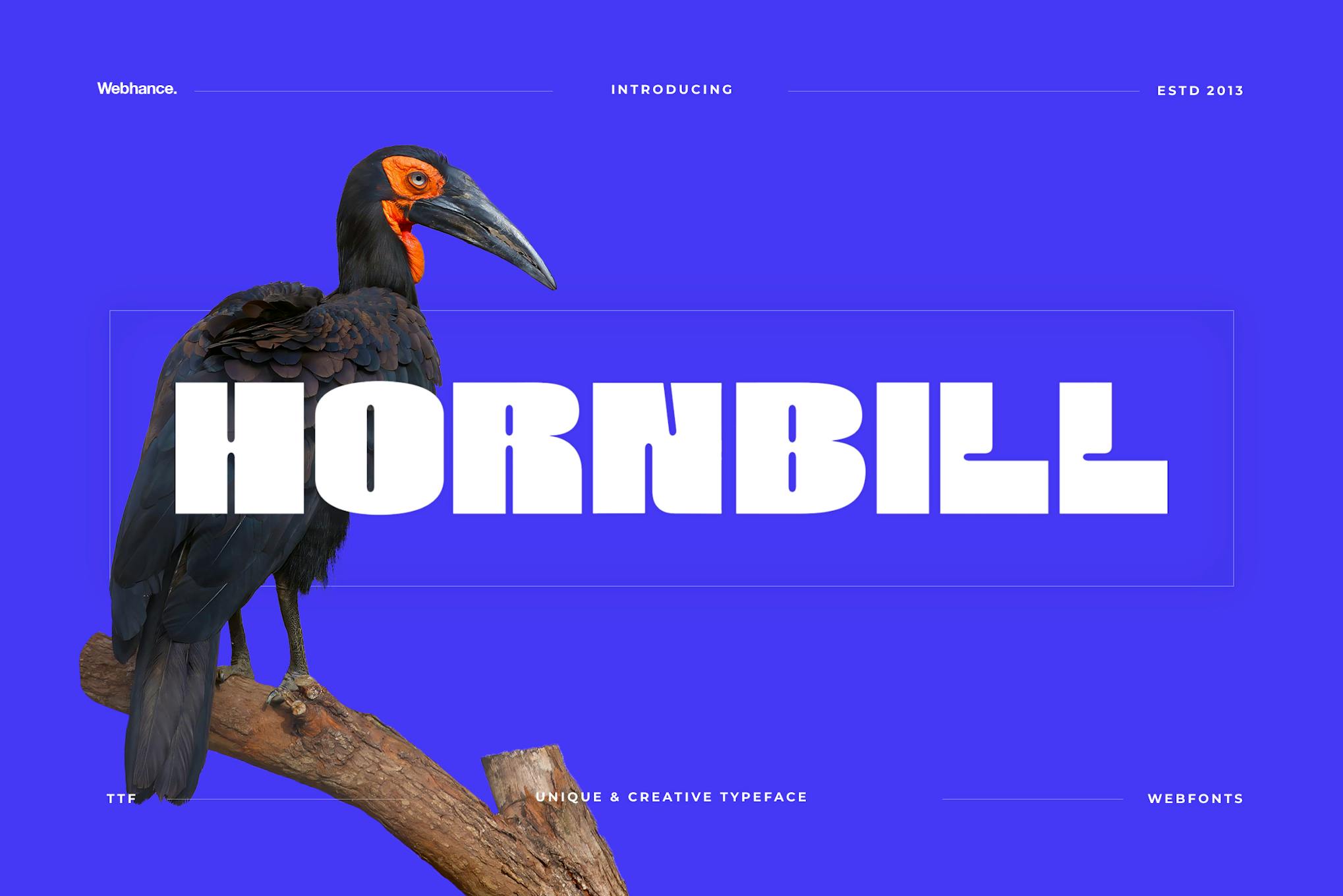 Hornbill – Modern Display Font