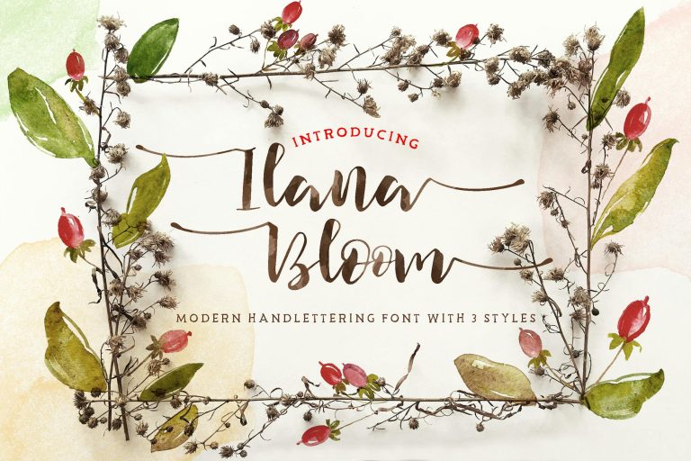 Ilana Bloom