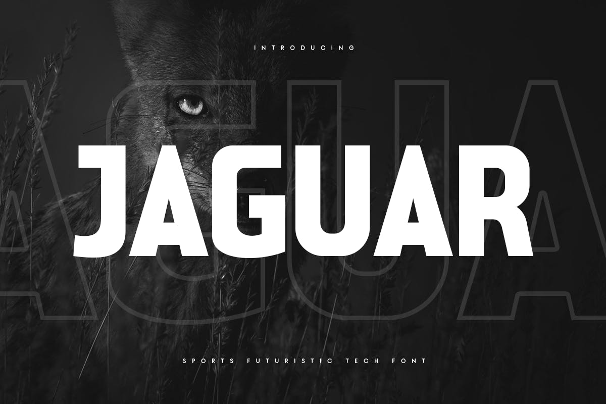 Jaguar – Sports Futuristic Tech Font