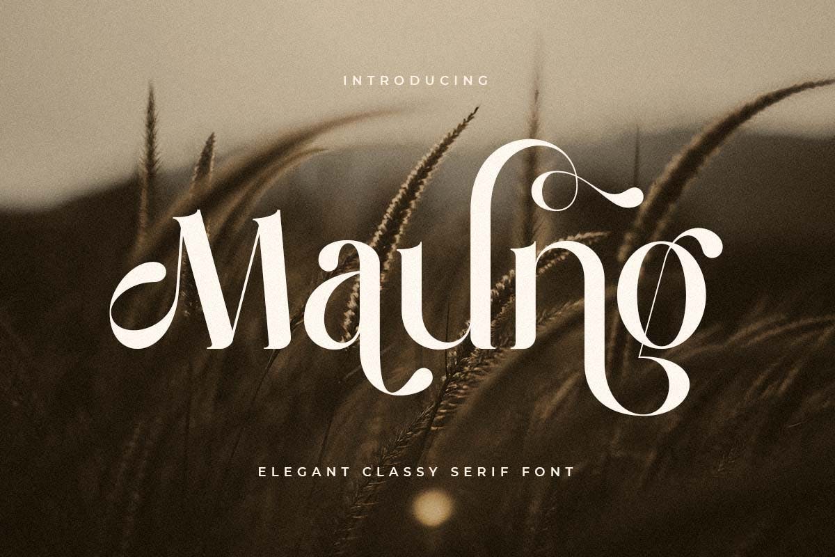 Maung – Elegant Classy Serif Font