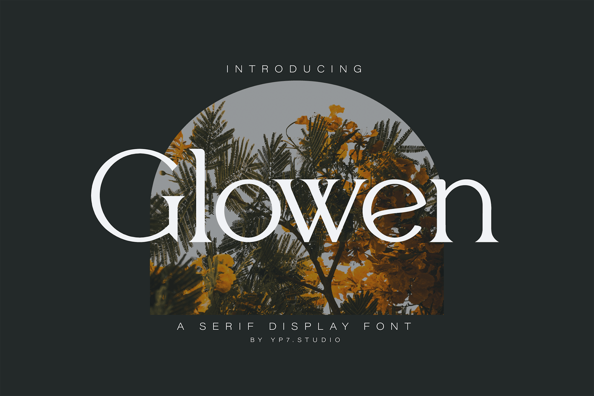 Modern Luxury Fashion Font