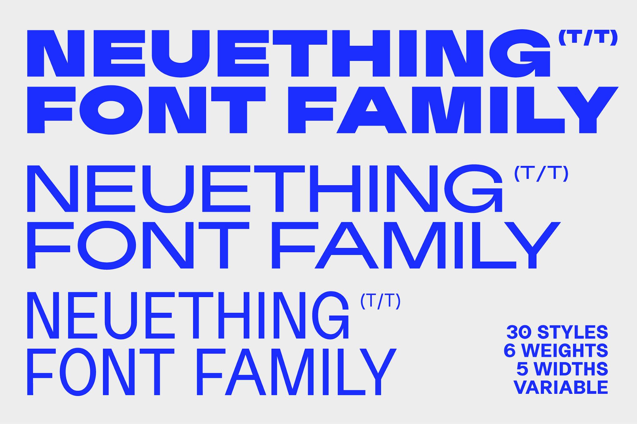 Neuething Sans (30 Styles)