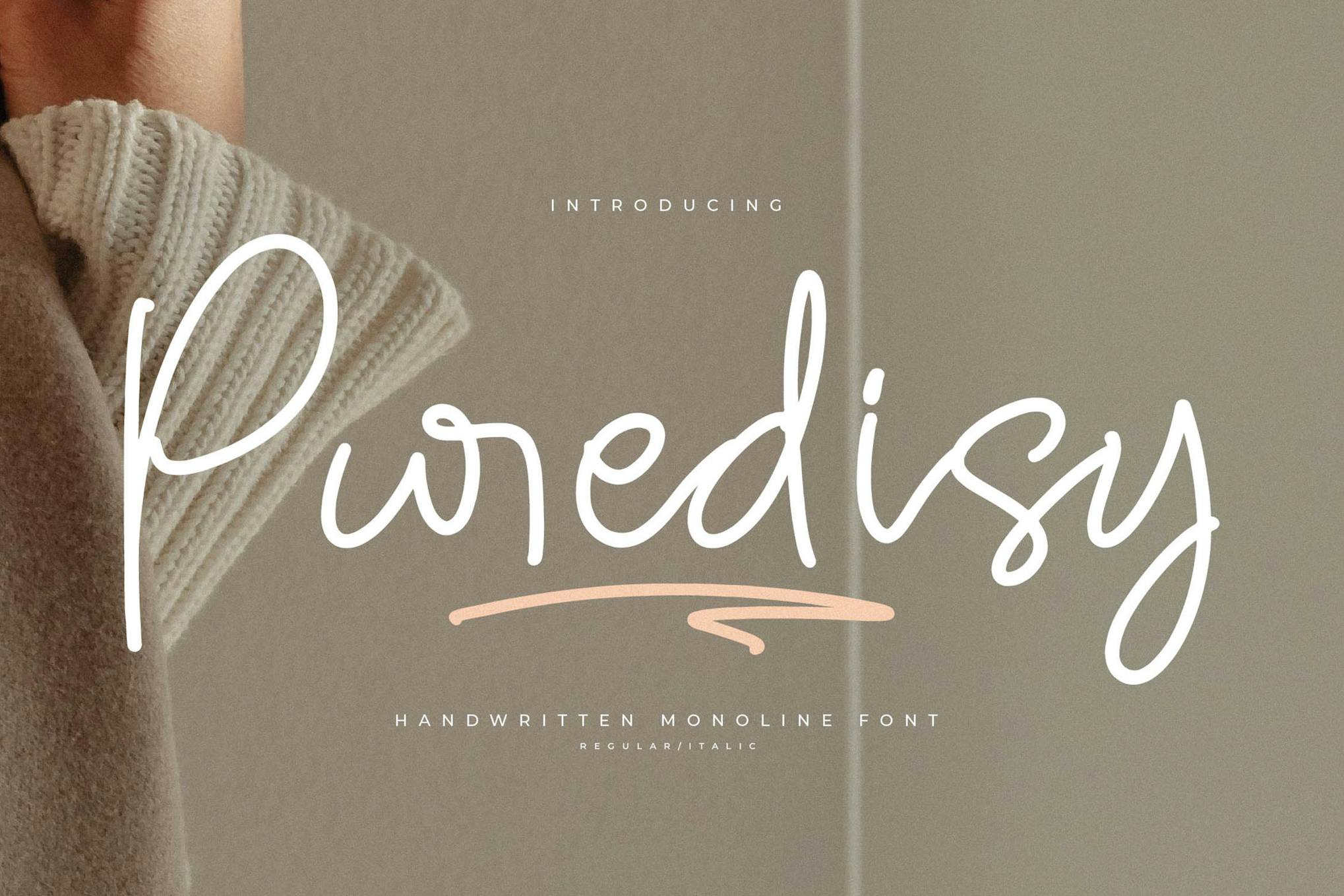 Puredisy Handwritten Monoline Font