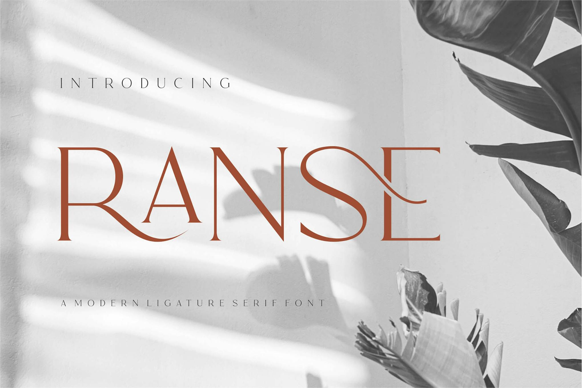 RANSE Modern Ligature Serif Font