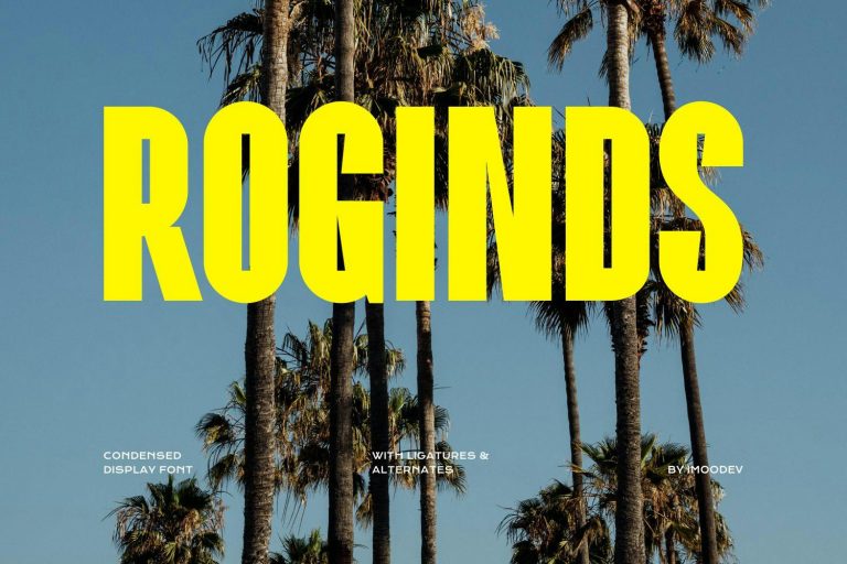 Roginds – Modern Bold Fonts