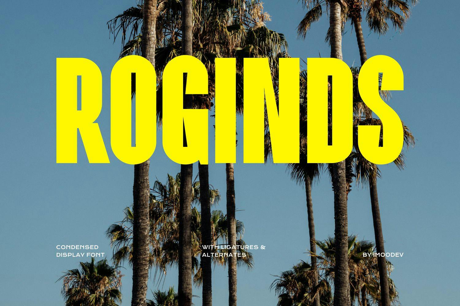 Roginds – Modern Bold Fonts