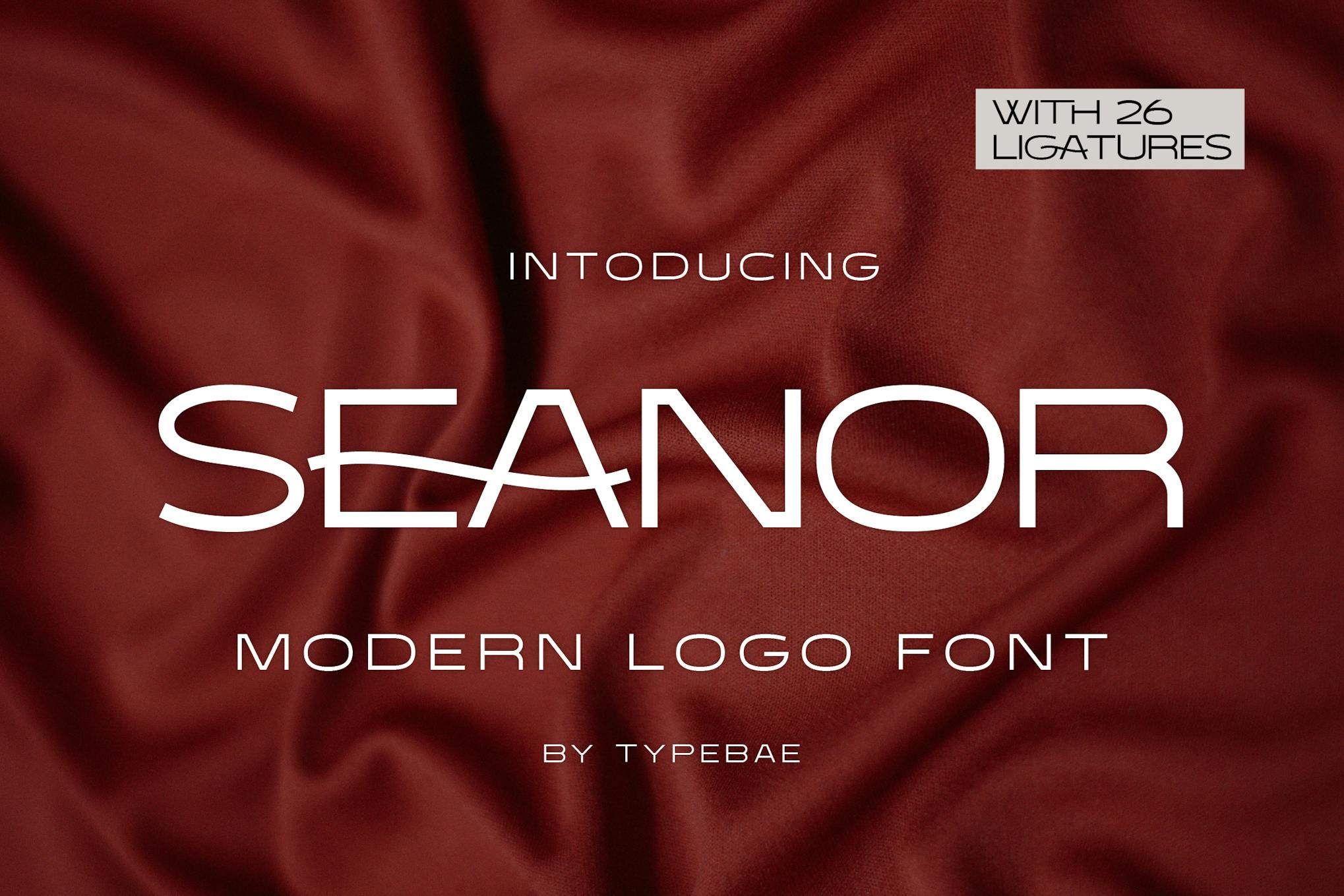 Seanor – Modern Logo Font