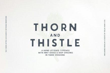 Thorn & Thistle Sans Family
