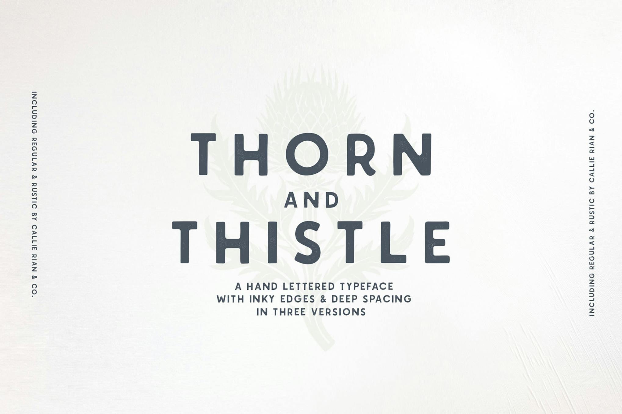Thorn & Thistle Sans Family