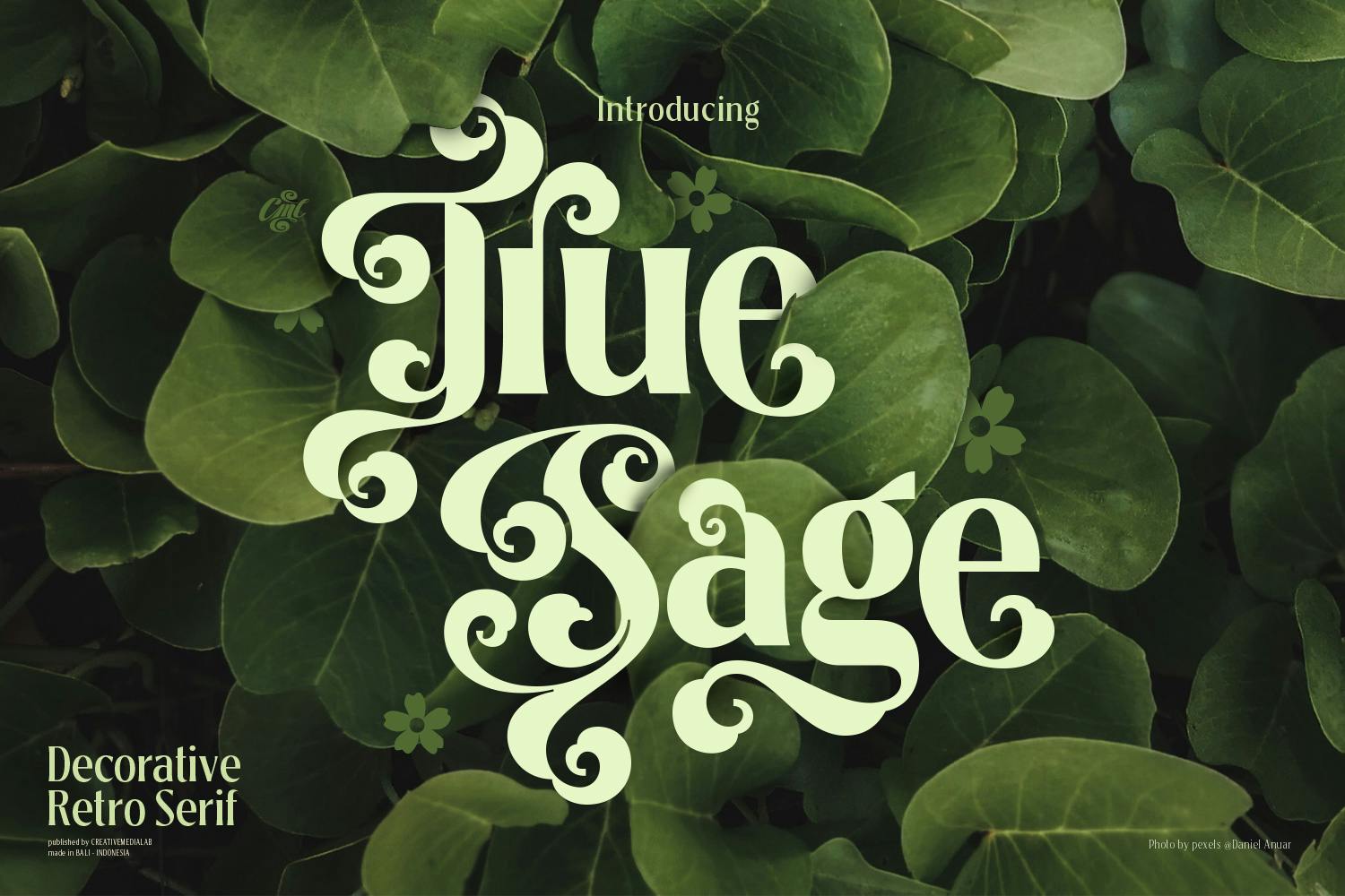 True Sage – Modern Vintage Victorian font