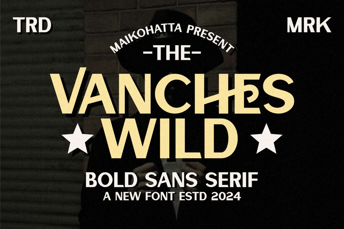 Vanches Wild – Bold Sans Serif