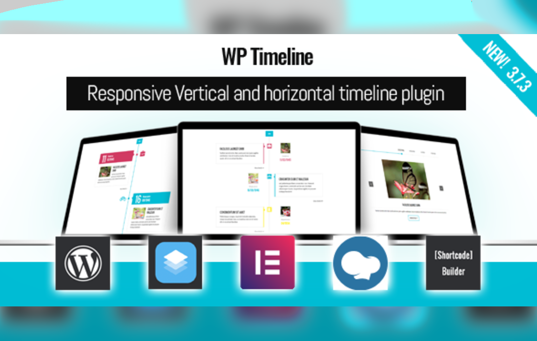 WP Timeline – Vertical and Horizontal timeline plugin
